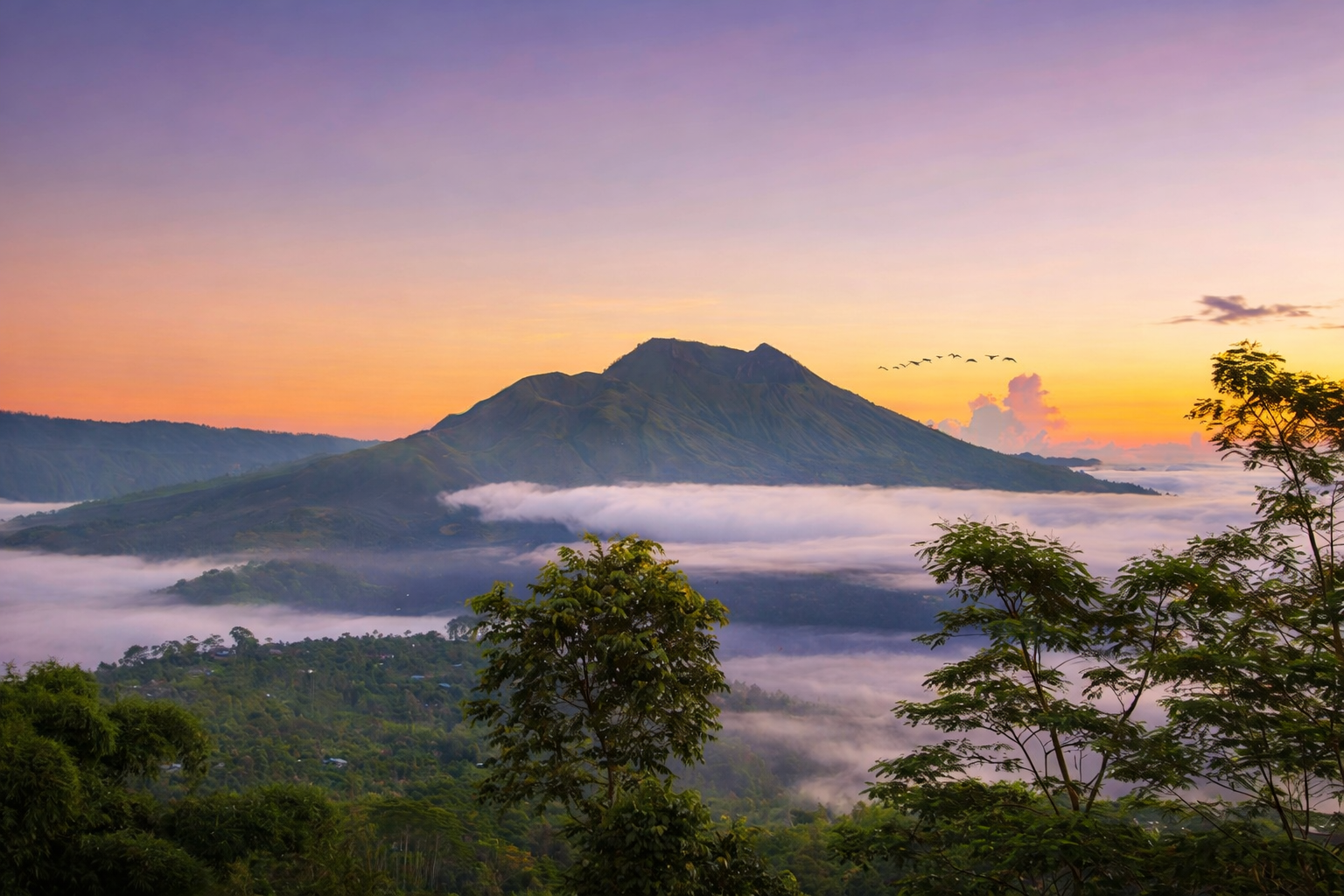 PRIVATE DAY TOUR - Kintamani Full Day Tour